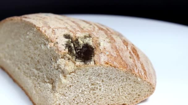 Küflü Eski Siyah Ekmek Döner Masa Seçici Atış — Stok video