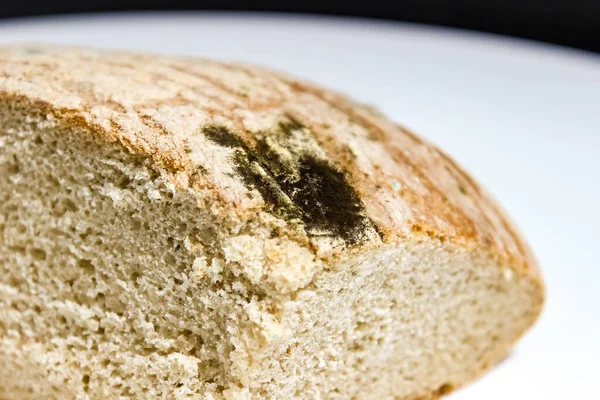 Svart Gammalt Bröd Med Mögel Närbild Selektivt Skott — Stockfoto