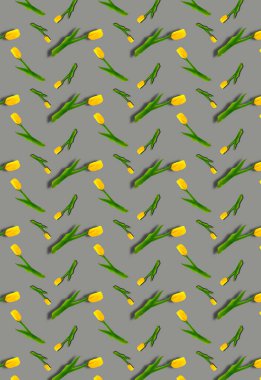 Gri arka planda sarı laleli dikey desen. Çiçek arkaplan. Kalıplar, izler.