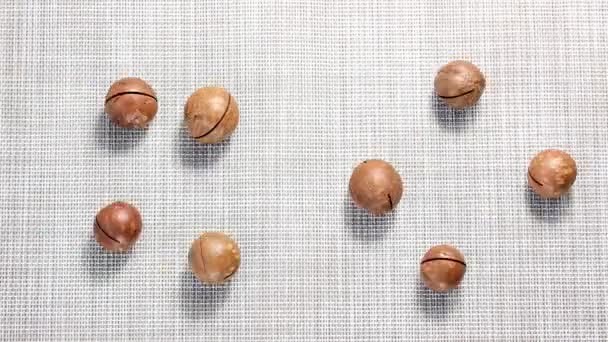 Zastavit Animaci Pohybu Proces Pohybu Macadamia Ořechy Skořápce Povrchu Horní — Stock video