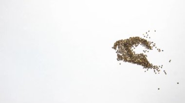 Hareket animasyonunu durdur. Dağılmış chia tohumları beyaz arka planda Chia sözcüğünde toplanır. Süper yemek. Üst görünüm.