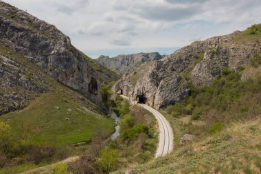 Sırbistan 'daki Nisevac doğal geçidi