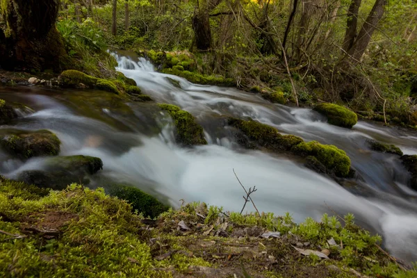 Wonderful Place Serbian Nature — Stock Photo, Image