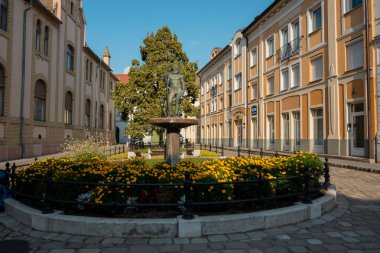 Macaristan 'ın Baja kenti