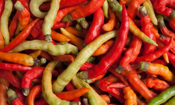 kırmızı sıcak biber