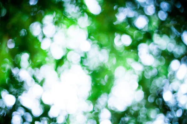 yeşil arka plan Özeti