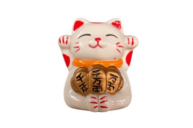 beyaz zemin üzerinde şanslı kedi