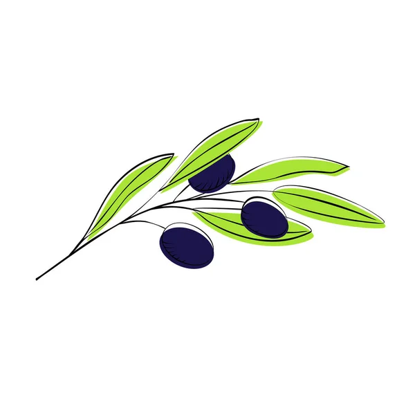 Rama Olivos Con Aceitunas Color Azul Oscuro Para Diseño Alimentos — Vector de stock