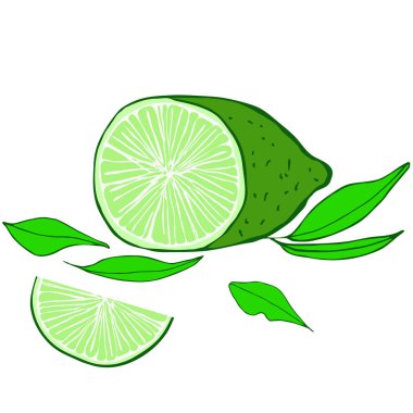 Yeşil dilimlenmiş limon, yarım dilimlenmiş limon, yapraklar. Paketlerin tasarımı ve dekorasyonu için, kağıt, menüler, peçeteler, yemek kitapları, kartlar, yemekler. Vektör el çizimi resimleme