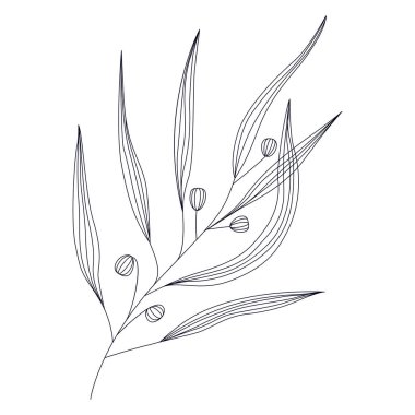 Yapraklı çizgi sanat dalı. Vektör minimalist taslak çizimi. Element tasarımı