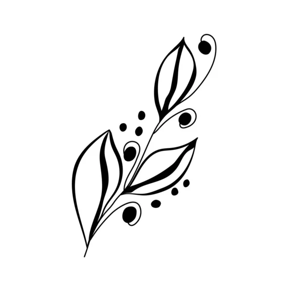 Decorativo ramoscello scarabocchio disegnato a mano. Spazzola per telaio, ghirlanda, elemento di design — Vettoriale Stock