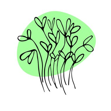 Soyut şekilli mikro-yeşil çizim çizimi. Sağlıklı gıda konsepti, organik gıda, vejetaryen yemeği, vejetaryen günü, vejetaryen günü