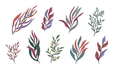 Dekoratif yapraklar. Tasarım, kartlar, desen ve dekorasyon için renkli el yapımı botanik elementler. Vektör illüstrasyonu