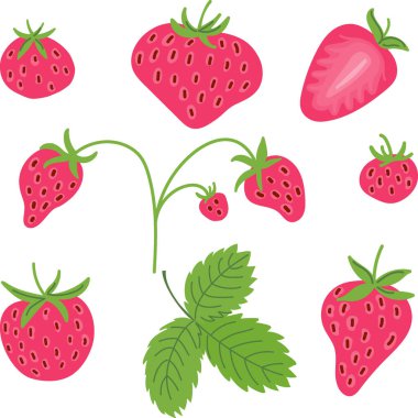 Organik markalaşma için taze çilek. Meyve suyu ikonları, yeşil yapraklar ve kafe menüleri için yarımlar. Canlı düz PNG elementleri beyazda izole edildi.