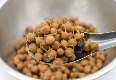 Güneydoğu Asya 'da geleneksel Myanmar, yağlı bezelye pişirdi. Kahvaltı tarifi. Yakın görünüm.