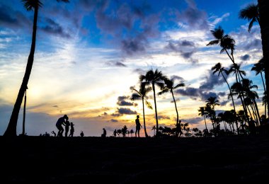Honolulu günbatımı palm ile