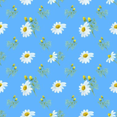 Mavi arka planda papatya deseni. Tekstil, kumaş ve arka plan için zarif bir tasarım. Paketler, peçeteler..