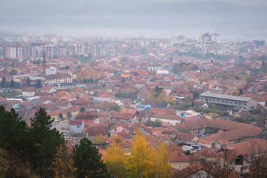 Sonbahar ve ön planda çam ağaçları ve altın renkli yaprakları olan gümüş huş ağaçları boyunca yumuşak, puslu, puslu, Pirot şehir manzarası