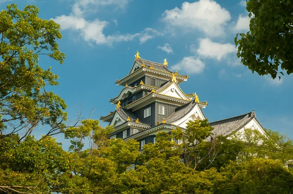 Okayama-jo Kalesi — Stok fotoğraf