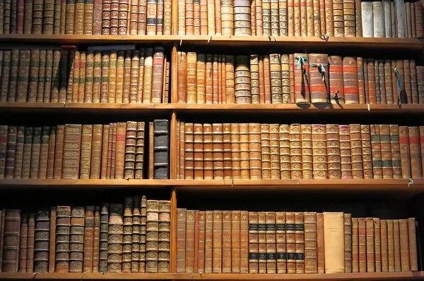 Books on library shelf — Stock Photo, Image