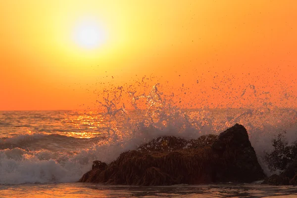 dalga deniz günbatımı üzerinde