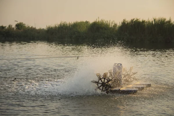 An industrial paddle wheel aerator in a fish pond, provides Oxygen to the fish using a water pump