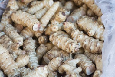 Kudüs enginarının (Helianthus tuberosus) yakın görüntüsü, aynı zamanda güneş kökü, güneş boğması veya toprak elması olarak da bilinir, Kuzey Amerika 'ya özgü bir ayçiçeği türüdür ve pazarda satılmaktadır.