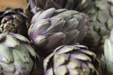 Güzel bir Globe Enginarına (Cynara cardunculus var. Aynı zamanda yeşil ve mor renklerde Fransız enginar ve yeşil enginar olarak da bilinir. 