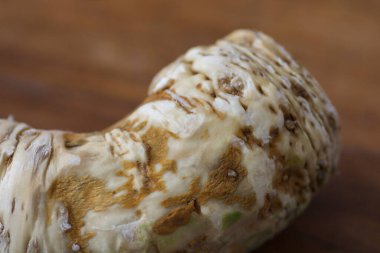 Bir yaban turpunun (Armoracia rusticana, syn. Cochlearia armoracia) Kök sebze, ekilmiş ve tüm dünyada baharat ve baharat olarak kullanılıyor.