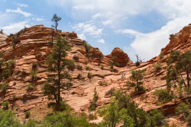 Zion Ulusal Parkı, Utah