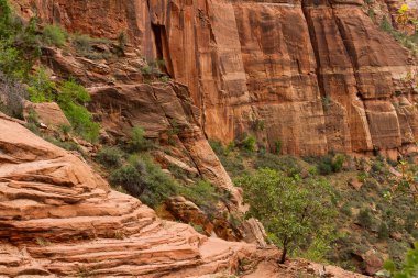 Kumtaşı Zion National Park, Utah