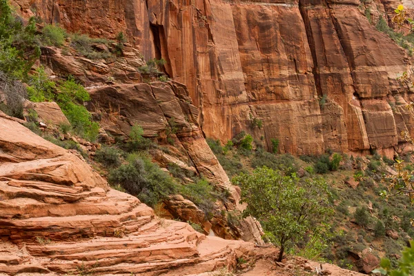 Kumtaşı Zion National Park, Utah