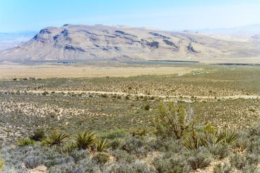 Güney Nevada çölünde