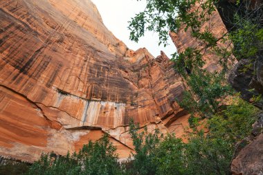 Yaz aylarında Zion national park