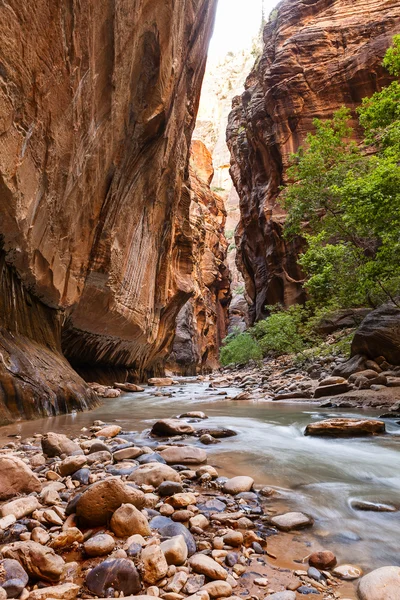 Estreitos em Zion National Park, Utah, EUA — Fotografia de Stock