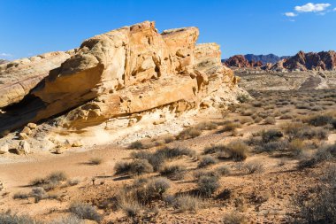 Güney Nevada Çölü'nde sarı kum taşı oluşumu 