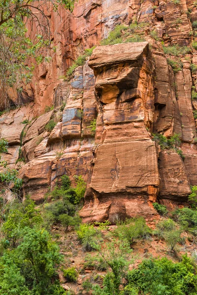 Zion Canyon, Utah — Foto Stock