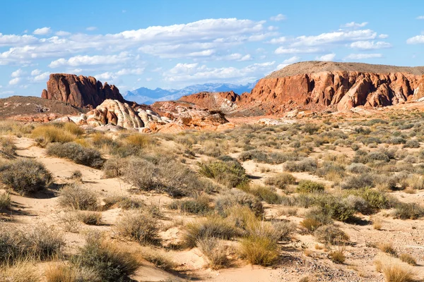 Öknen i södra Nevada, Valley of Fire — Stockfoto