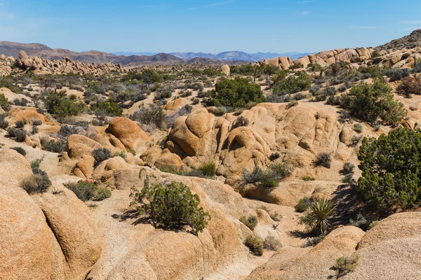 Mojave Desert, Kalifornie — Stock fotografie