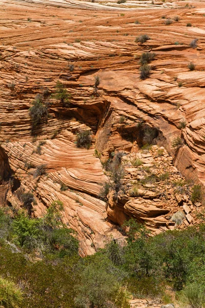 Arenito Vermelho, Utah — Fotografia de Stock