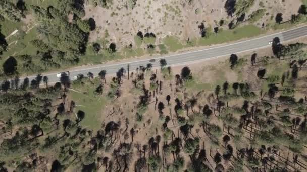 Drone View Mountain Road — Stock video