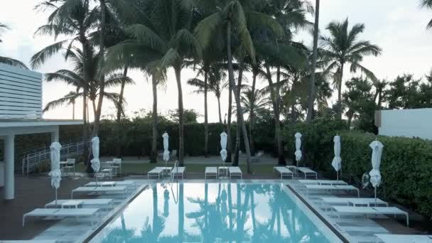 Tropický bazén salonek ranní záběry. — Stock video