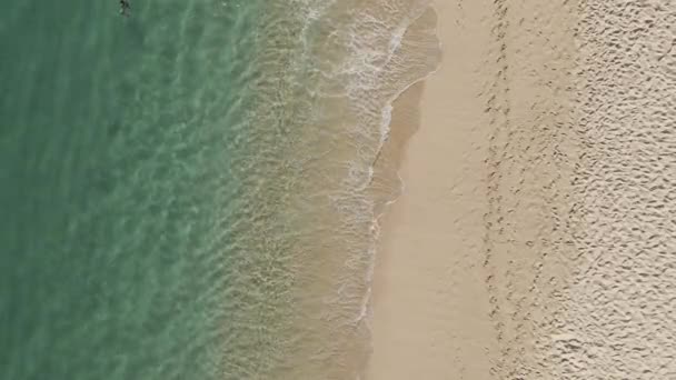 Kristallklares Wasser am Sandstrand des Pazifischen Ozeans — Stockvideo