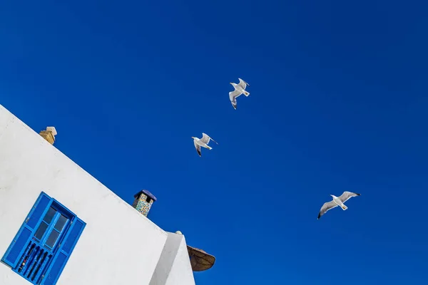 Casa Blanca Cielo Azul Profundo Las Gaviotas Revoloteando Sobre Los — Foto de Stock