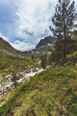 Korsika Ulusal Parkı 'ndaki Dağ Nehri Vadisi manzarası