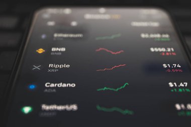 XRP, finansal kurumlara en hızlı ve en güvenilir seçeneği sunan kripto para birimidir.