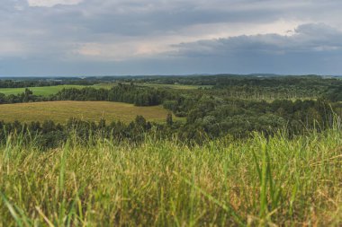 Litvanya 'nın doğa manzarası. Çarpıcı yeşil ve orman manzarası