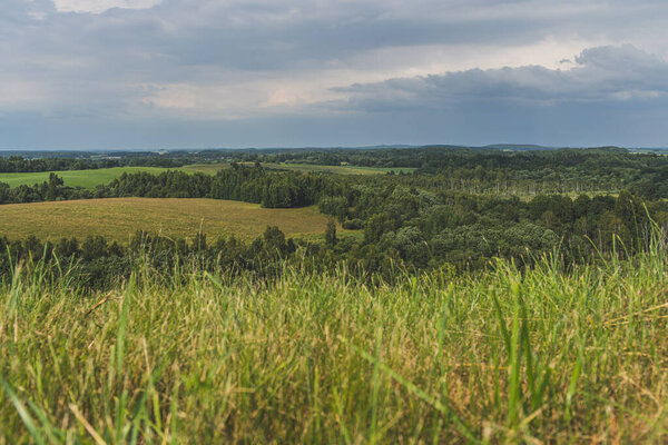 Природный пейзаж Литвы. Потрясающий зеленый и лесной пейзаж