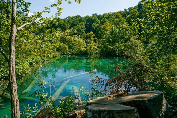 Die Große Landschaft Des Nationalparks Plitvicer Seen Ist Ein Berühmtes — Stockfoto