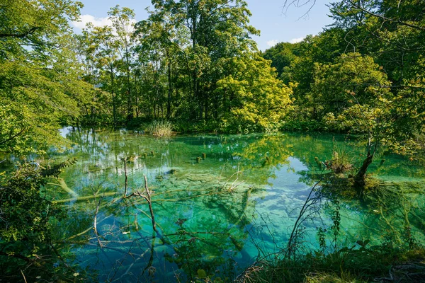 Paisagem Grande Resolução Parque Nacional Dos Lagos Plitvice Uma Famosa — Fotografia de Stock